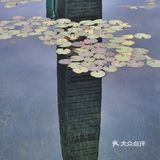 深圳游玩｜来荔枝公园打卡深圳超美水天辉映的建筑风光