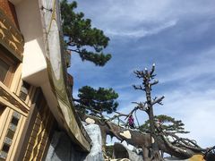 -疯狂屋