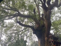 -安溪清水岩