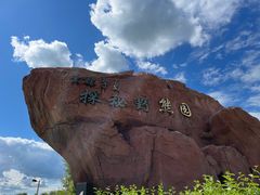 -黑瞎子岛探秘野熊园