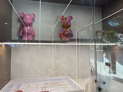 -翊宠yipet猫狗购宠庄园犬舍•猫舍