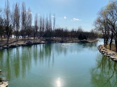 -大兴滨河森林公园