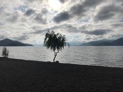 -泸沽肴(泸沽湖大洛水村农村信用社旁店)