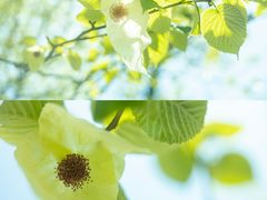 -龙苍沟森林公园