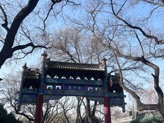 -北京国子监胡同