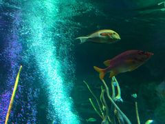 -沈阳海洋探索中心