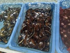 -罗源湾8号渔排
