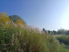 -贵阳市花溪国家城市湿地公园