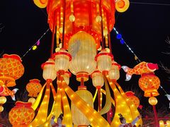 -淄博花灯齐彩城