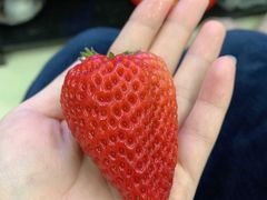 -PAGODA百果园(深圳天琴阁店)