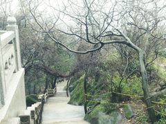 -灵岩山风景区