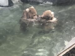 -临沂极地海洋王国
