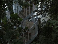 -郑州植物园