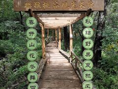 -大岭沟猕猴桃谷风景区
