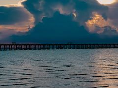 -宝安西湾红树林湿地公园