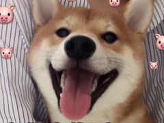 -郭阿姨月亮馍