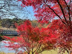-凤凰沟景区