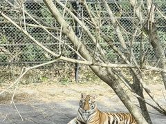 -深圳野生动物园