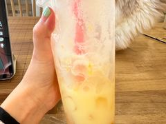 -楼上猫咖(罗湖店)
