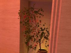-舒小悦·舒养SPA·古法推拿(光环中心店)