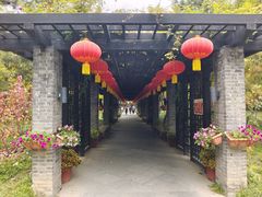 -月坛公园