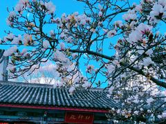 -真庆观