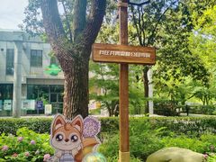 -上海共青森林公园