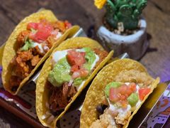 -Famous肥猫墨西哥音乐餐吧(五棵松华熙LIVE店)