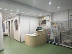 -皖宠联盟宠爱优家宠物医院(中兴西湖店)