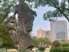 -黄兴公园
