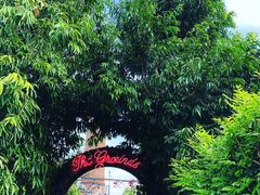 -The Grounds of Alexandria