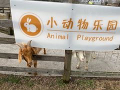 -前小桔亲子创意农场·草莓采摘·露营烧烤