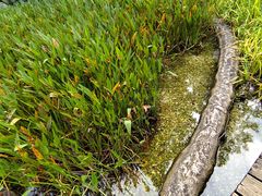 -成都市活水公园