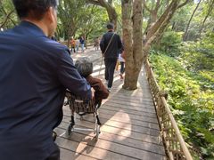 -普陀山风景名胜区-法雨禅寺