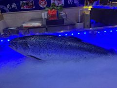 -海韵之星邮轮水会(明发商业广场店)