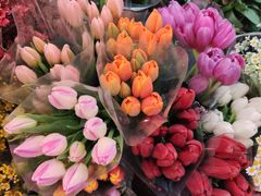 -双季花艺园艺市场(浦东店)