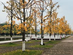 -四川大学(江安校区)