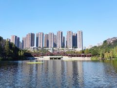 -重庆彩云湖湿地公园