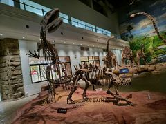 -自贡恐龙博物馆
