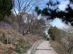 -香山公园