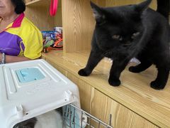-中农大我爱我爱动物医院·核磁CT·猫病·24小时夜诊中心(石佛营店)