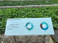 -鄞州雪菜博物馆