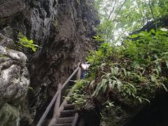 -洛阳白云山景区