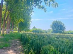 -汉长安城未央宫国家考古遗址公园