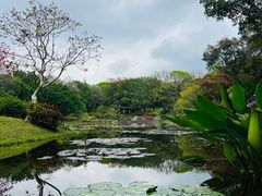 -云溪植物园