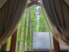 -黄海国家森林公园