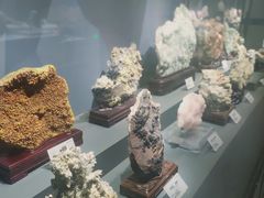 -湖南省地质博物馆