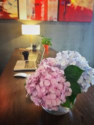 花-热靴映画儿童摄影工作室(绍兴水街壹号文创园店)