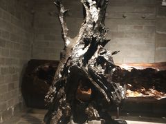 -乐山乌木文化博览苑