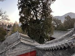 -窦大夫祠
